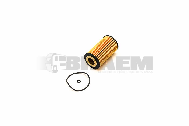 Vrachtwagen- en busonderdelen - Motor - Motorsmering - Oliepomp (-filter -koeler) - HENE11HD52