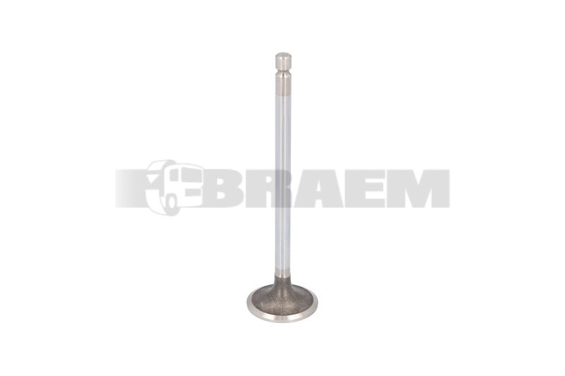 قطع غيار الشاحنات والحافلات - المحرك - غطاء المحرك - الصمامات والاكسسوارات - IVE4895052