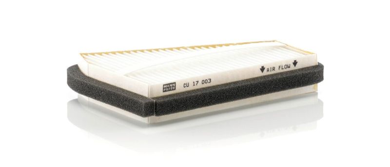 Vrachtwagen- en busonderdelen - Cabine - Climatisatie - Interieurfilter - MANCU17003