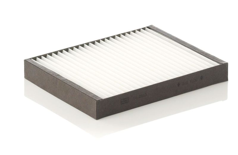 Truck and bus spare parts - Cab - Air-conditioning - Pollen filter - MANCU2513