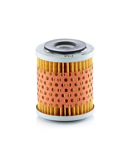 Lkw- und Busersatzteile - Motor - Inspritzeinlage und Turbo - Kraftstofffilter - MANP66X