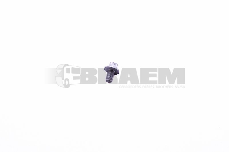 Lkw- und Busersatzteile - Fahrgestell - Chassis Balken - Chassis Boltzen und Mutter - MB000000.000300.OCC