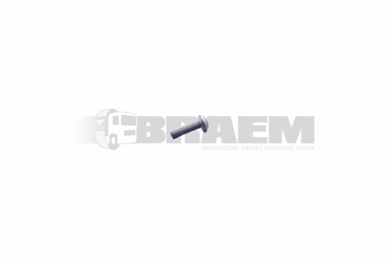 Lkw- und Busersatzteile - Fahrgestell - Chassis Balken - Chassis Boltzen und Mutter - MB000000.001478