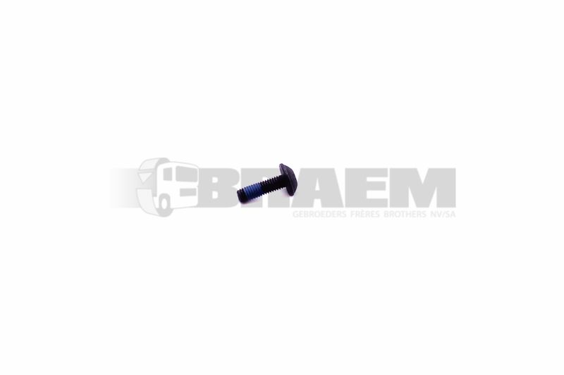 Lkw- und Busersatzteile - Fahrgestell - Chassis Balken - Chassis Boltzen und Mutter - MB000000.002196.OCC