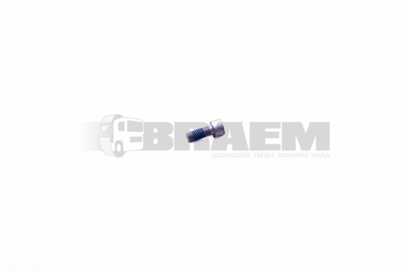 Lkw- und Busersatzteile - Fahrgestell - Chassis Balken - Chassis Boltzen und Mutter - MB000000.003047