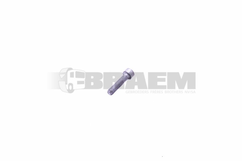 Lkw- und Busersatzteile - Befestigungsmaterial divers - MB000000.004138.OCC