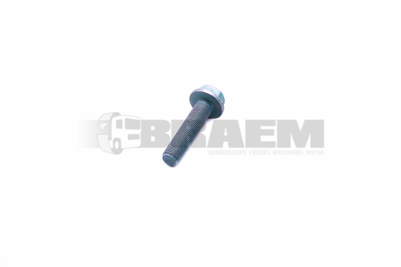 Lkw- und Busersatzteile - Fahrgestell - Chassis Balken - Chassis Boltzen und Mutter - MB000000.005544