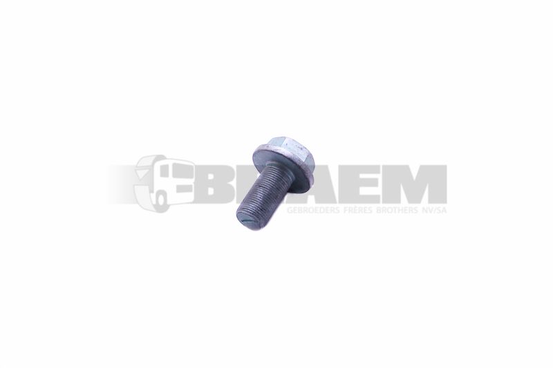 Lkw- und Busersatzteile - Fahrgestell - Chassis Balken - Chassis Boltzen und Mutter - MB000000.005581
