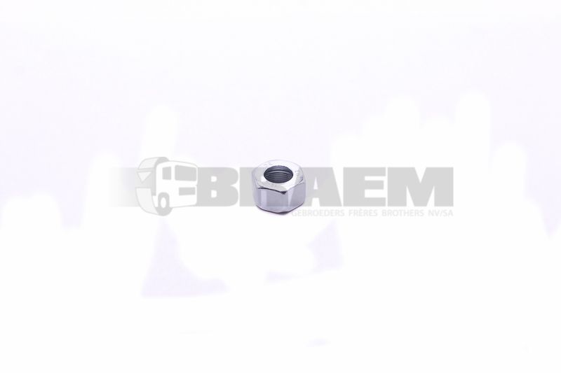 Lkw- und Busersatzteile - Fahrgestell - Chassis Balken - Chassis Boltzen und Mutter - MB000000.006242