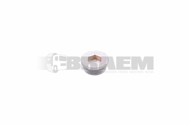 Lkw- und Busersatzteile - Fahrgestell - Chassis Balken - Chassis Boltzen und Mutter - MB000908.042001