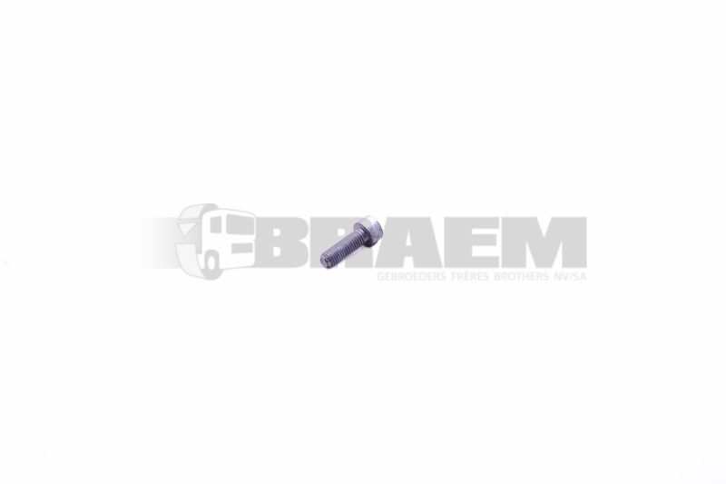 Lkw- und Busersatzteile - Fahrgestell - Chassis Balken - Chassis Boltzen und Mutter - MB000912.008202