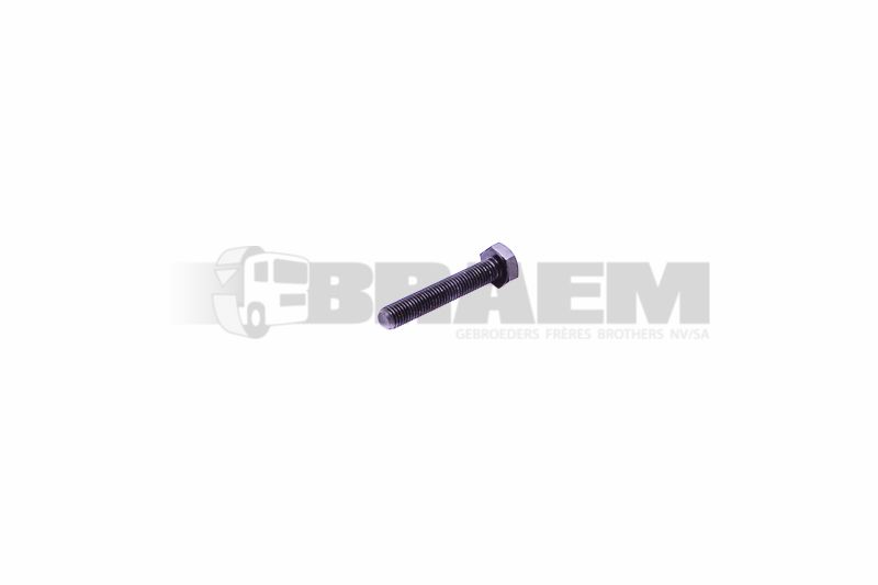 Vrachtwagen- en busonderdelen - Chassis - Chassisbalken - Chassisbouten en moeren - MB000933.010347
