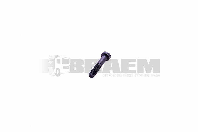 Lkw- und Busersatzteile - Motor - Motorkühlung - Riemenspanner - MB006912.008014