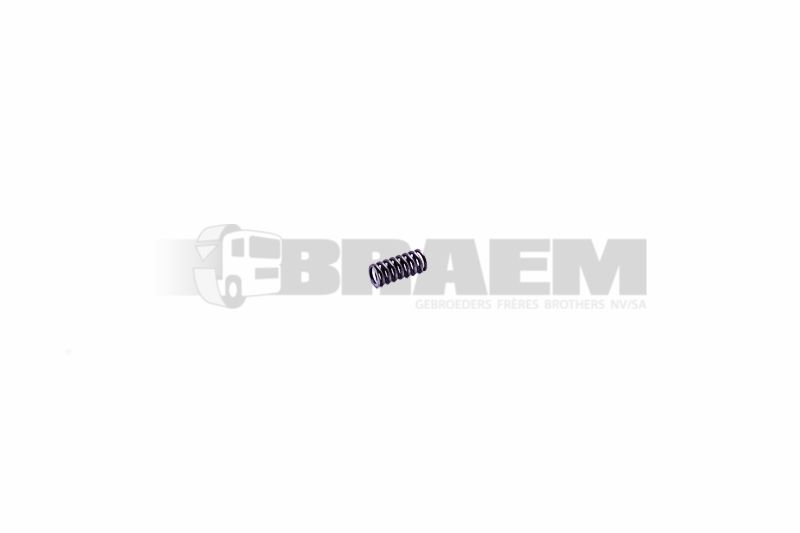 Lkw- und Busersatzteile - Lager, Gummiblock, Dichtung, Feder - Feder - MB312.993.10.01