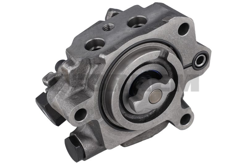 Lkw- und Busersatzteile - Motor - Inspritzeinlage und Turbo - Hochdruckpumpe - MB936.070.00.37/65