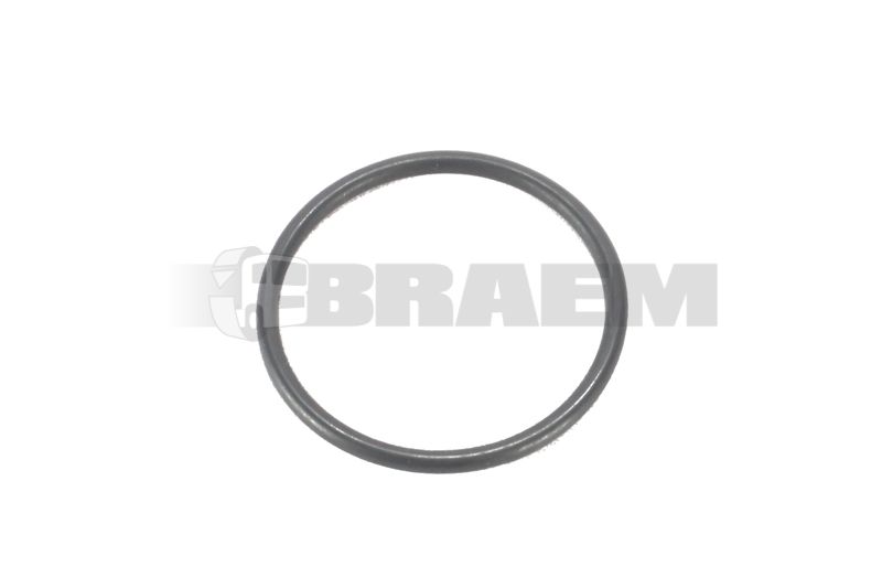Lkw- und Busersatzteile - Motor - Inspritzeinlage und Turbo - Turbolader - PAKO1209