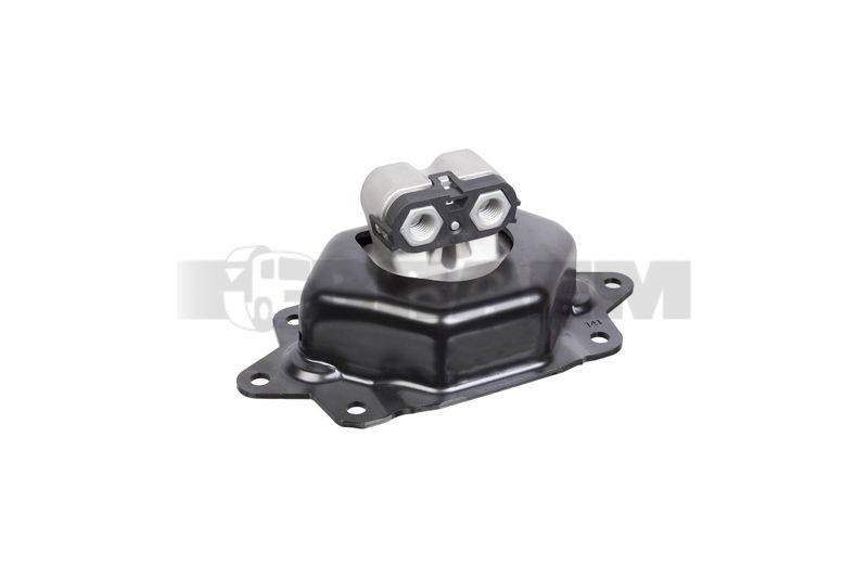 Pièces détachées camions et bus - Moteur - Palier moteur - Silentbloc moteur - VBA004.819