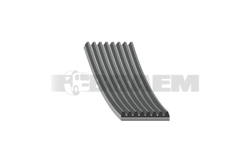 Vrachtwagen- en busonderdelen - Motor - Motorkoeling - Riemen - VRM8PK1275