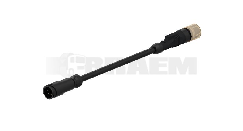 Vrachtwagen- en busonderdelen - Elektriciteit - Kabelbomen - Kabelbomen - WES449.353.005.0