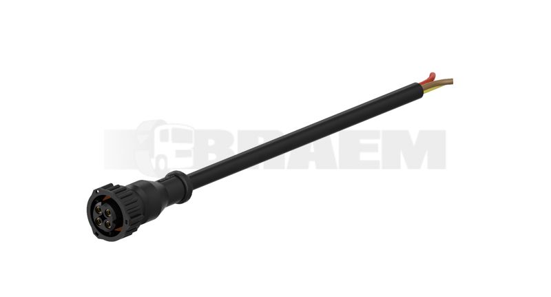 Vrachtwagen- en busonderdelen - Elektriciteit - Kabelbomen - Kabelbomen - WES449.362.100.0