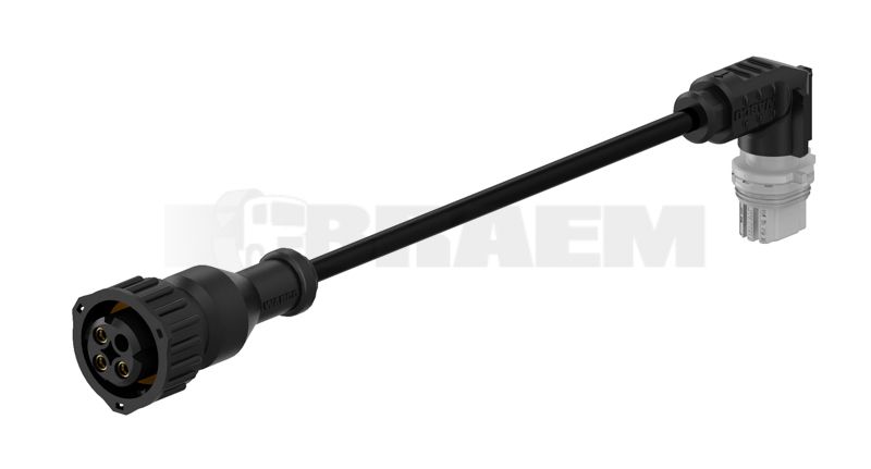 Vrachtwagen- en busonderdelen - Elektriciteit - Kabelbomen - Kabelbomen - WES449.445.030.0