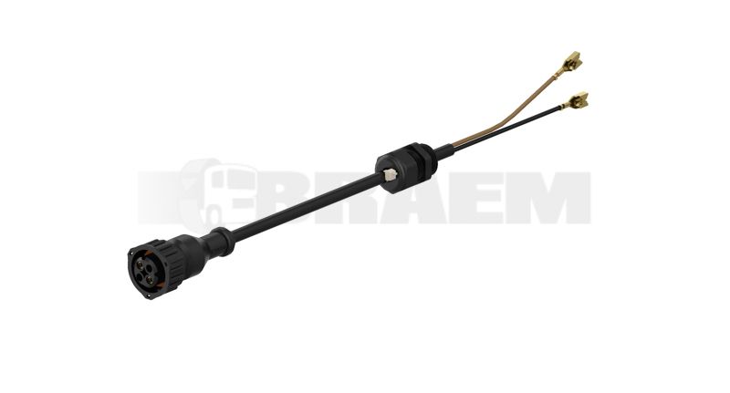 Vrachtwagen- en busonderdelen - Elektriciteit - Kabelbomen - Kabelbomen - WES449.742.030.0