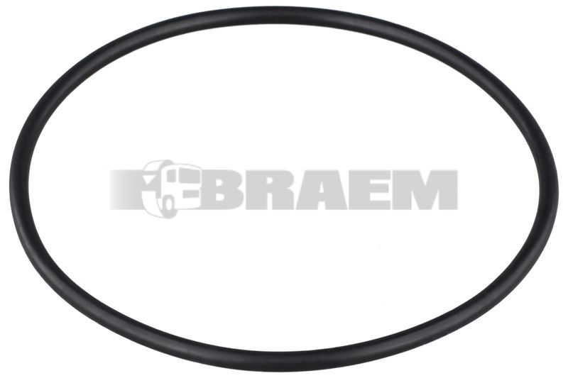 Lkw- und Busersatzteile - Lager, Gummiblock, Dichtung, Feder - Dichtung, Dichtring und Gummi - ZF0501.301.250