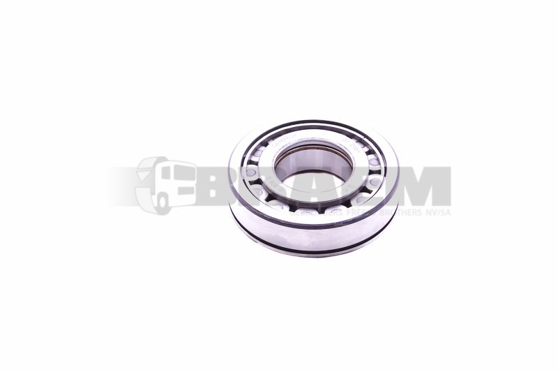 Truck spare parts - Powertrain - Differential - Bearings - ZF0735.410.029